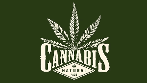 Cannabis Akademie